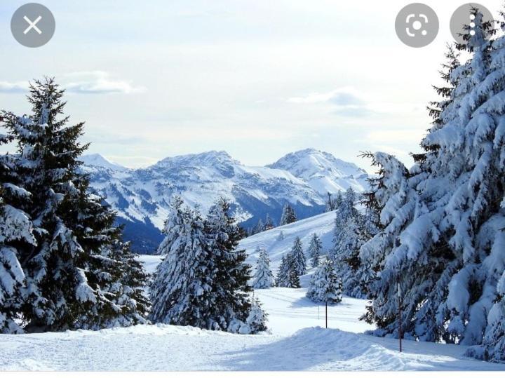 L'Oree Des Bois , Detente Et Calme . Mesigny エクステリア 写真