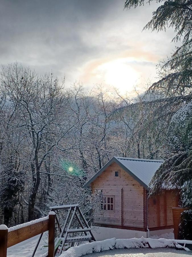 L'Oree Des Bois , Detente Et Calme . Mesigny エクステリア 写真